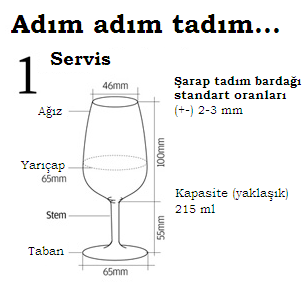 Tadim1